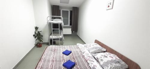 Hostel Mir