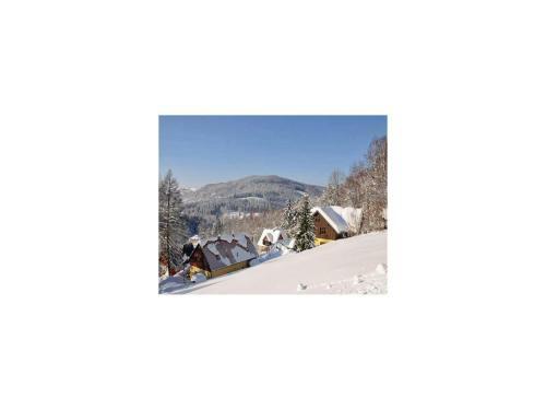 Holiday Home Albrechtice