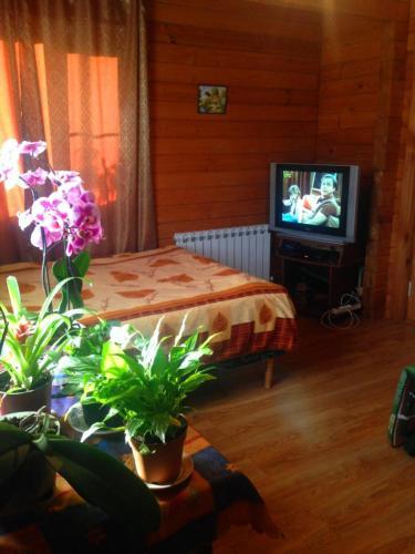 Vacation Home Morskaya Skazka