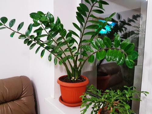Hostel Uyt In Kursk