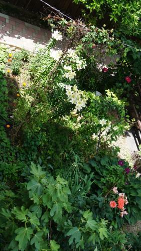 Hostal Guest House Natalie