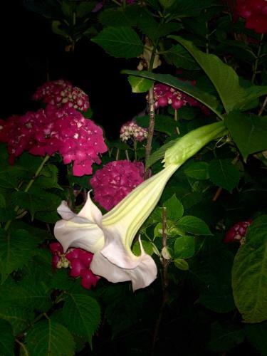 Hostal Baunti Guest House