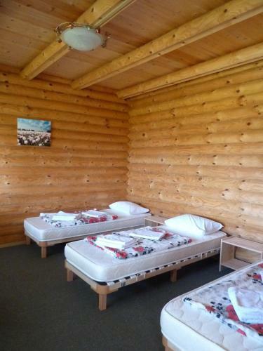 Hostal Guest House Ecohouse Belye Rosy