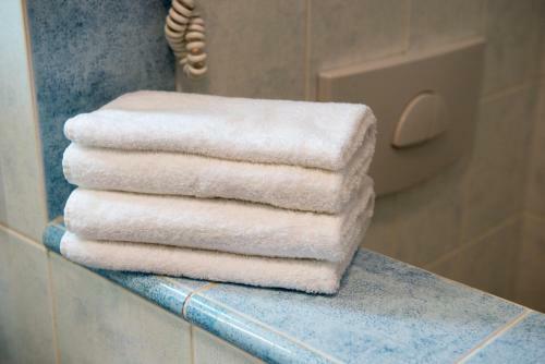 Wellness Hotel Frymburk