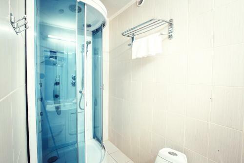 Park Hotel Shishka