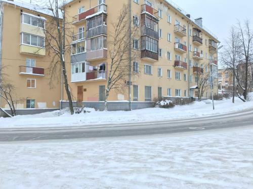Apartment Irina