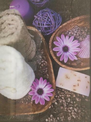 Apartments On Chapaeva Ecostil