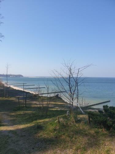 Apartamento Zhemchuzina Baltiki