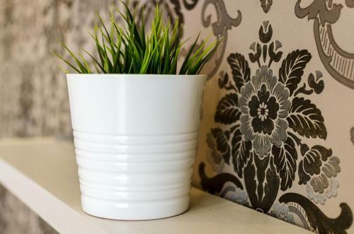 Pskov City Apartments - Mikhailovskaia 1