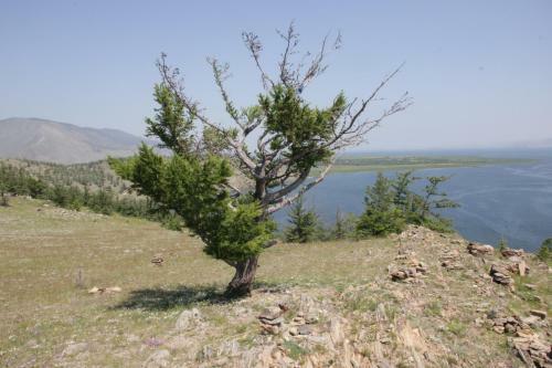 Guest Houses On Rodnye Berega