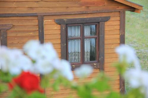 Guest Houses On Rodnye Berega