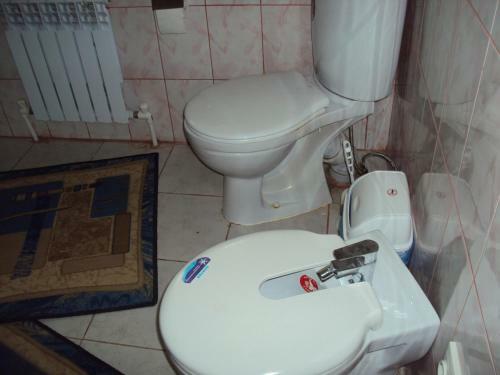Hostal Guest House V Dolinie Roz