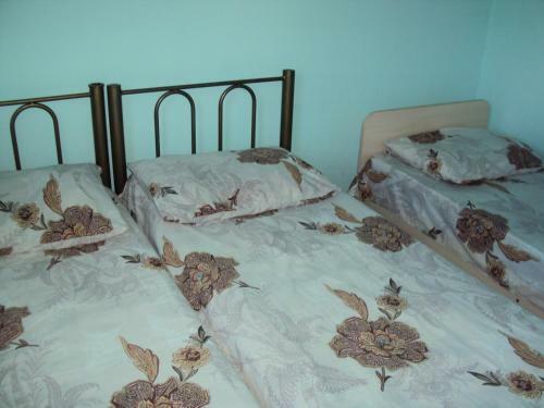 Hostal Guest House V Dolinie Roz