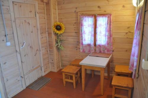 Hostal Gostevoy Dom Pinaiha