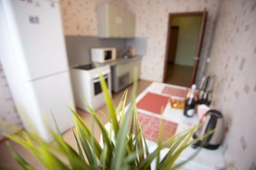 Apartment Na Chervishevskom Trakte