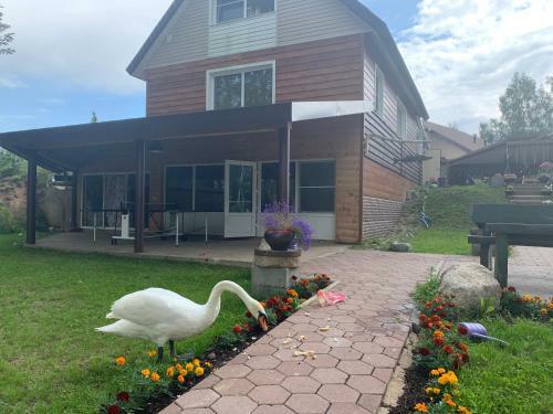 Holiday Home Yujnaya Gavan