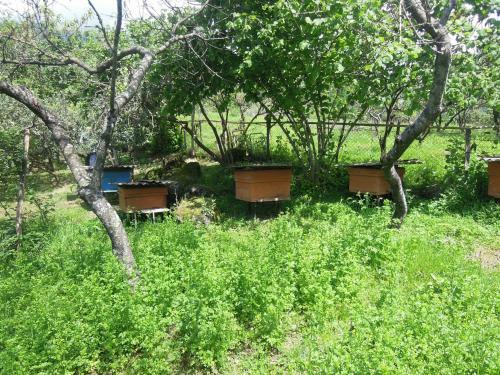 Hostal ???????? ??? Chernomor