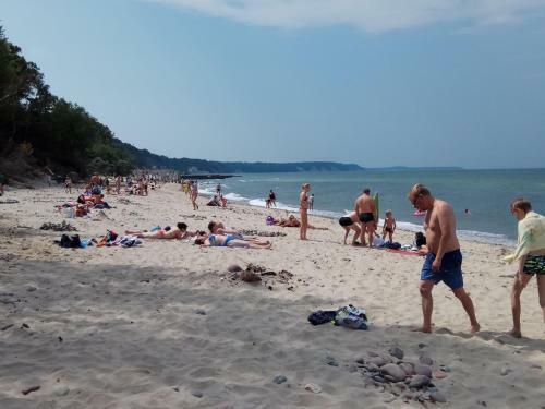 Hostal Dikiy Bereg Apart Hotel