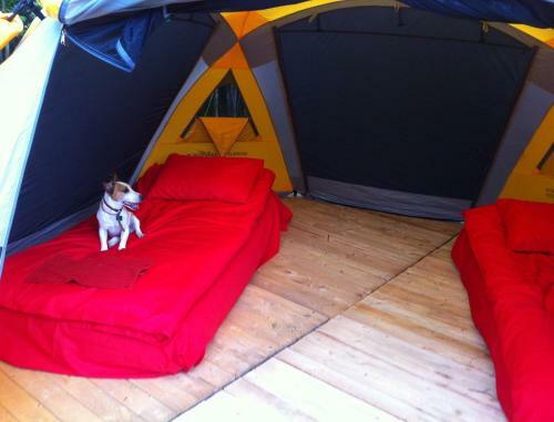 Farm-camping Nikola-lenivets