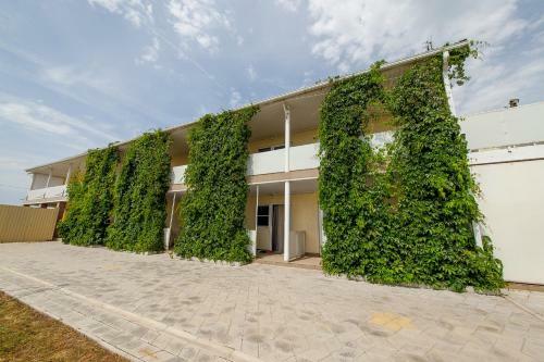 Hostal Guest House Aura
