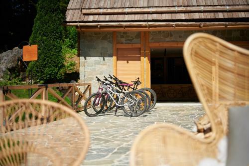 Boutique Hotel Vila Planinka