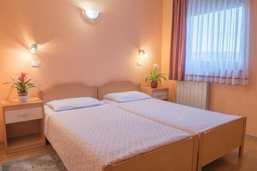 Hostal Guest House Danilo-hi?a Primc