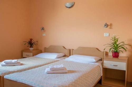 Hostal Guest House Danilo-hi?a Primc