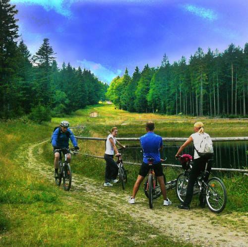 Apartamentos Green Village Ru?evec