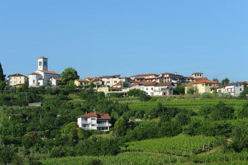 Belica Bed And Breakfast