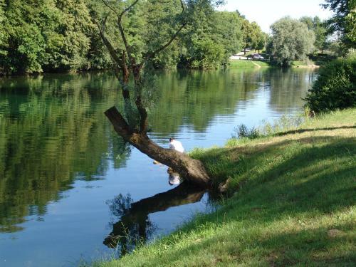 Big Berry Luxury Lifestyle Resort