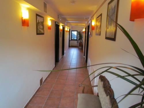 Hostal Pension Black Baron
