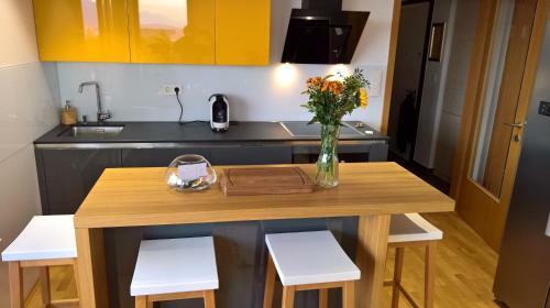 Embassy Terrace Apartment Ljubljana