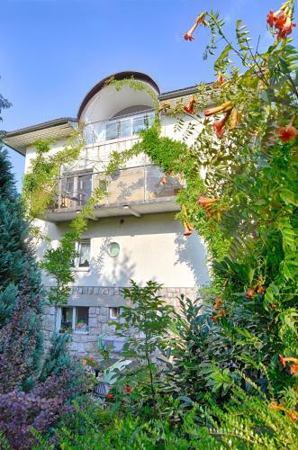 Apartments Greenslo