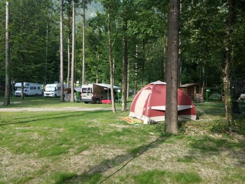 Kamp Alpe Kamni?ka Bistrica