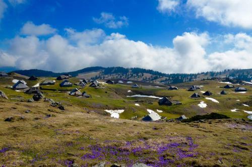Kamp Alpe Kamni?ka Bistrica