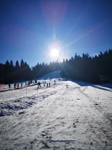Apartmajsko Naselje Ribni?ko Pohorje