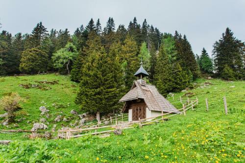 Loka Lodge At Raduha