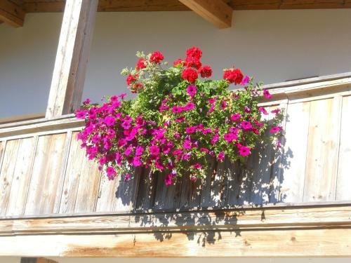 Chalet Niederndorferberg 1