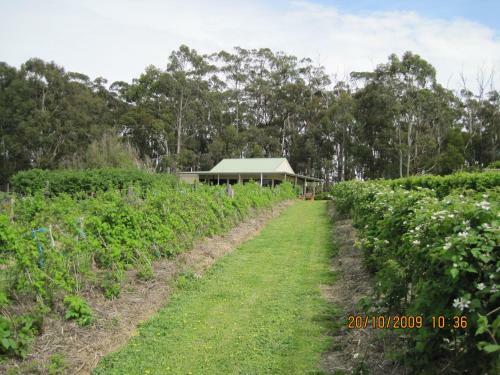 Bed & Breakfast Pennyroyal Raspberry Farm & Cidery
