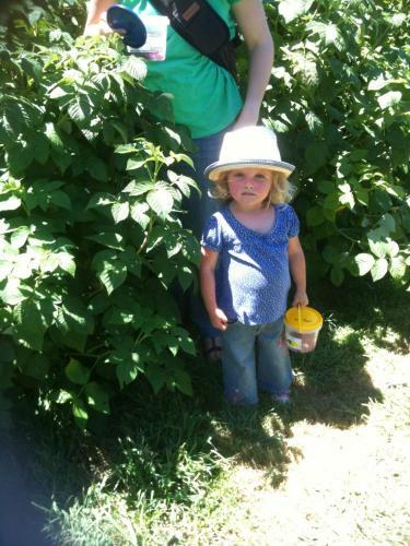 Bed & Breakfast Pennyroyal Raspberry Farm & Cidery