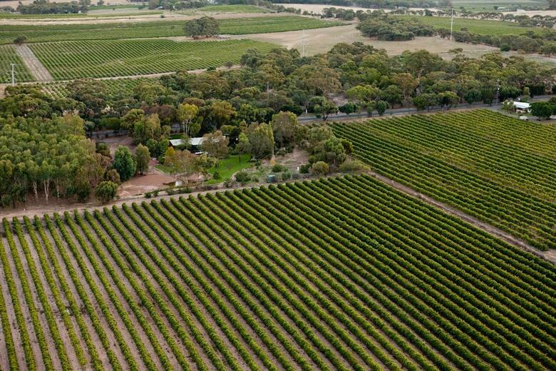Villa The Reserve Barossa Valley