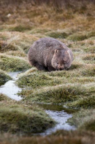 Arthur Riverfront And Sea Lodge Downstream