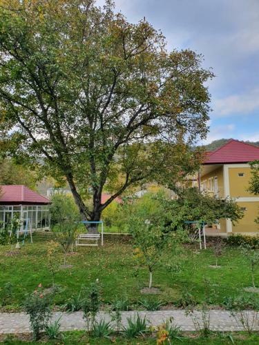 Hotel Zangazur Lodge & Restaurant