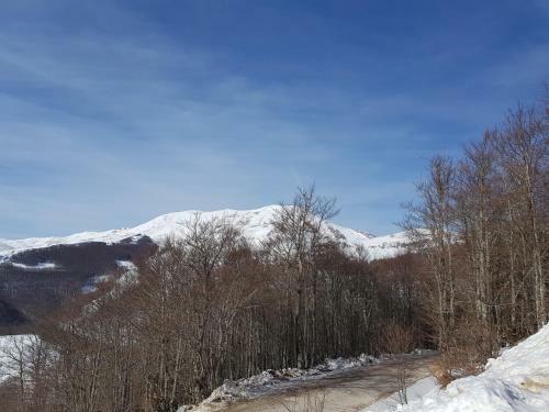 Apartman Dalia