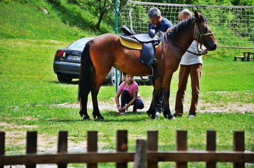 Hostal Seoski Turizam Zili?ina Rogatica