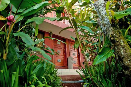 Bed & Breakfast La Boruca