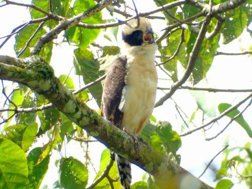 Albergue Monta�a Verde