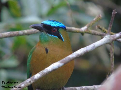 Albergue Monta�a Verde