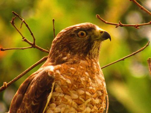 Albergue Monta�a Verde