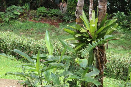 Albergue Monta�a Verde